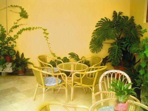 Zahrada ubytování Hotel Paris