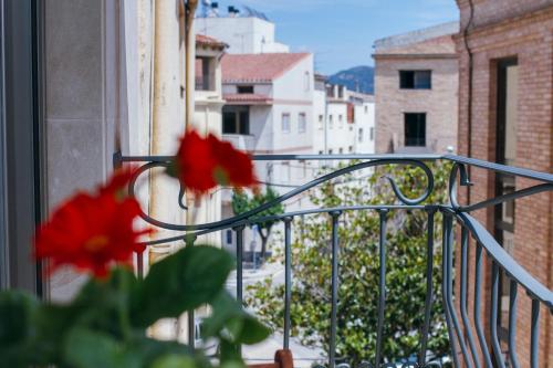 a view from a balcony with a red flower at La Casa dels Abeuradors in Gandesa