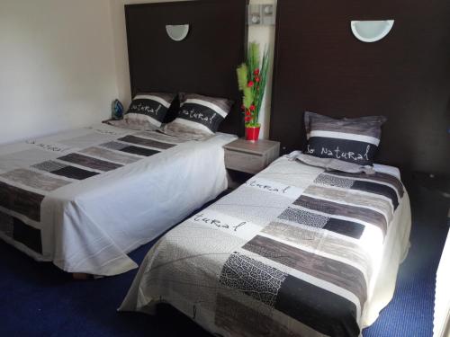 two beds sitting next to each other in a room at Hôtel Des Arcades in Autun