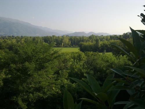 a view of a field with trees and mountains at B&B Terre Di Bea in Pederobba