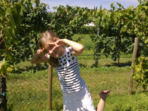 a young girl standing in front of a fence at B&B Terre Di Bea in Pederobba