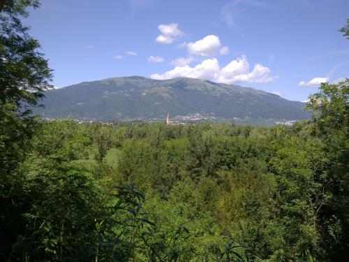 a mountain in the distance with trees in the foreground at B&B Terre Di Bea in Pederobba
