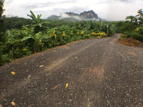 a dirt road with flowers and mountains in the background at Rai Eingpu in Ban Ta Khun