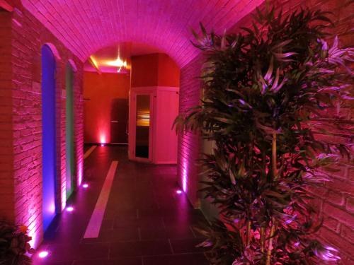 a hallway with purple lights and a plant at Agriturismo Casale delle Lucrezie in Todi