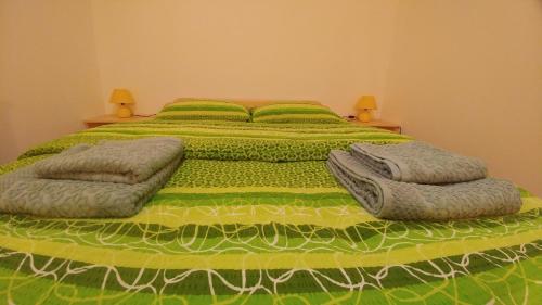 a large green bed with two pillows on it at Apartmaji Katrč in Soča