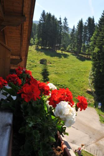 Gallery image of Albergo Garni' Laura in Baselga di Pinè