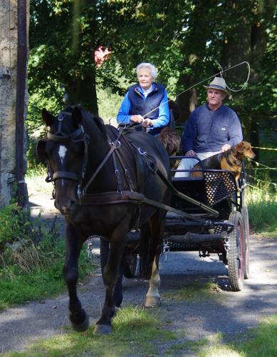 a man and a woman riding in a horse drawn carriage at Studniska Country Estate in Studniska