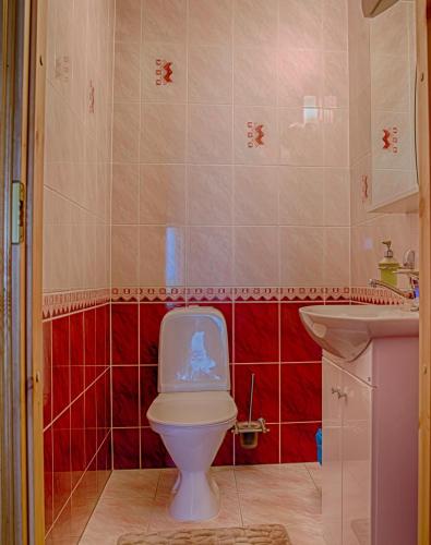 a bathroom with a white toilet and a sink at Raja Lake House in Raja