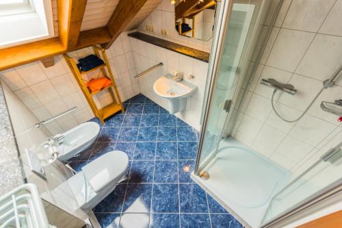 a bathroom with a shower and a toilet and a sink at Ferienwohnungen Ender in Sebnitz