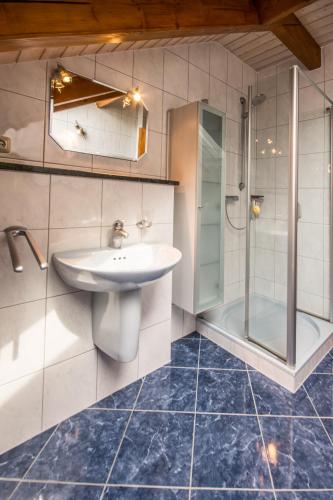 a bathroom with a sink and a shower at Ferienwohnungen Ender in Sebnitz