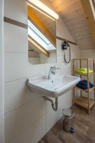 a bathroom with a sink and a mirror at Ferienwohnungen Ender in Sebnitz