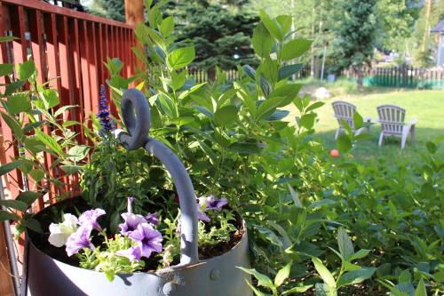 a flower pot with flowers in a garden at Cristiana Guesthaus in Crested Butte