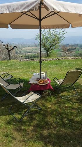 a table and chairs under an umbrella in a field at Agriturismo Etico Le Grazie in Bevagna