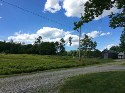 a gravel road leading to a field and a barn at Blueberry Fields Bed & Breakfast in Jefferson