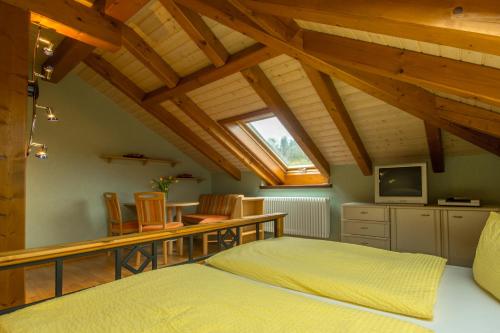 a bedroom with a bed and a desk and a television at Ferienwohnungen Ender in Sebnitz