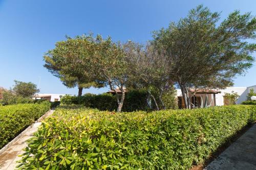 Gallery image of Salento Paradiso in Porto Badisco