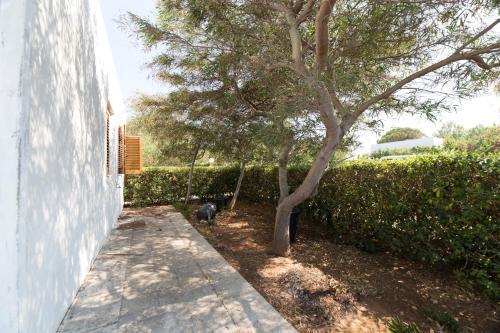 Gallery image of Salento Paradiso in Porto Badisco
