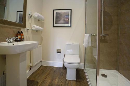 a bathroom with a toilet and a sink and a shower at Greyhound Hever in Edenbridge