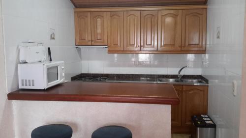 a kitchen with a counter top with a microwave at Apartamento Molí de Fòrnols in Fornols