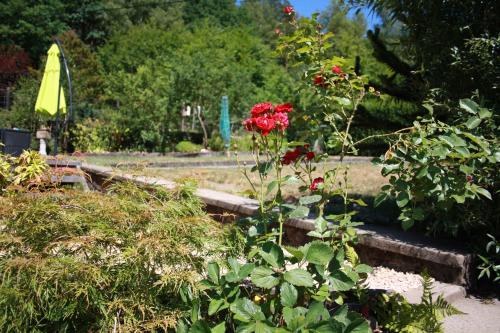 Un jardín fuera de Lesse matinal