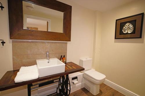 a bathroom with a sink and a toilet at Greyhound Hever in Edenbridge