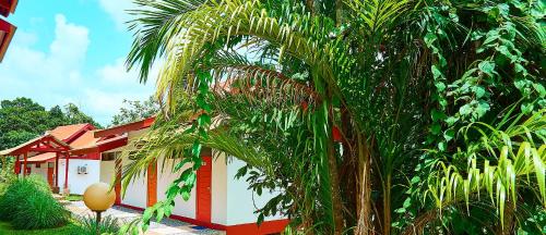 Κήπος έξω από το The Originals City, Hôtel Belova, Cayenne Sud