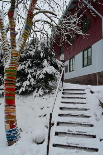 a tree with colorful yarn on it next to a house at Ubytování - U nás doma in Orličky