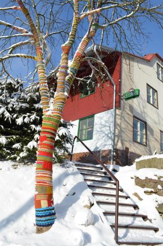 a knitted tree in the snow in front of a building at Ubytování - U nás doma in Orličky