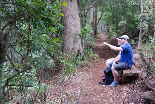 a man sitting on a bench on a trail at Witches Falls Cottages in Mount Tamborine