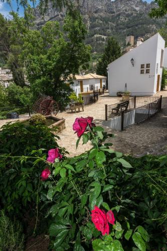 a bush with pink roses in front of a building at Villa Turística de Cazorla in Cazorla