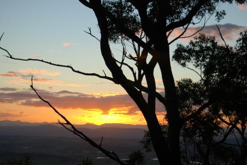 a silhouette of a tree in front of a sunset at Witches Falls Cottages in Mount Tamborine
