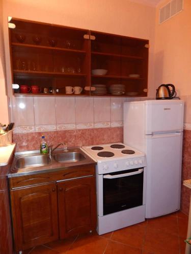 Kuchyň nebo kuchyňský kout v ubytování Apartments Klakor