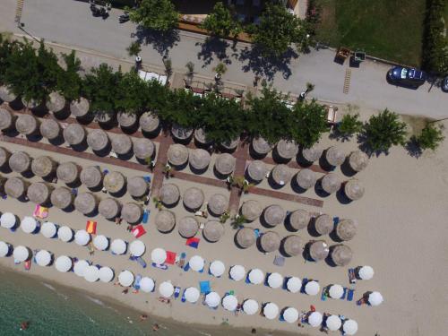 Gallery image of Hotel Rigakis in Pefkohori