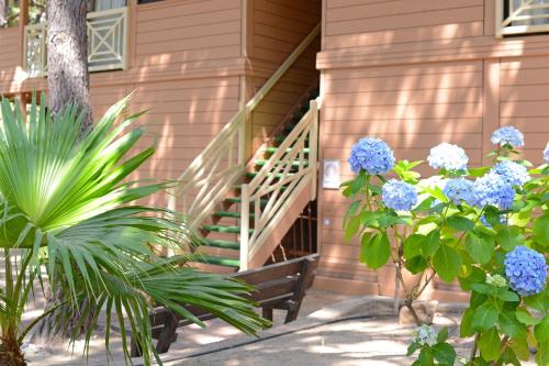 a house with blue flowers and a bench in front at Résidence Les Pins in Calvi
