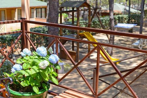 a potted plant on a balcony with a playground at Résidence Les Pins in Calvi
