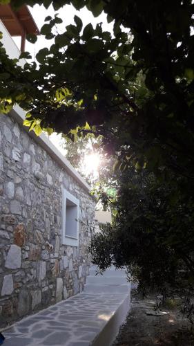 Φωτογραφία από το άλμπουμ του Naxos olive & home στις Εγκαρές