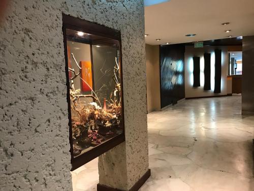 Gambar di galeri bagi Luz y Fuerza - All Inclusive di Mar del Plata