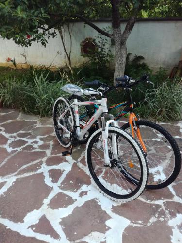 a bike is parked next to a tree at Hadjibulevata Guest House in Kovachevtsi