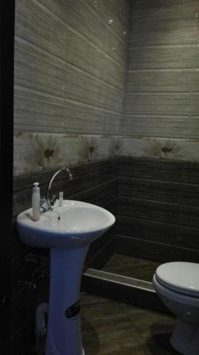 a bathroom with a sink and a toilet at Goga Guesthouse in Sighnaghi