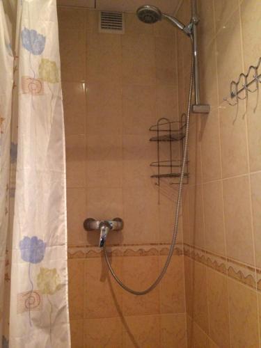 a shower with a shower head in a bathroom at Lana House in Pärnu