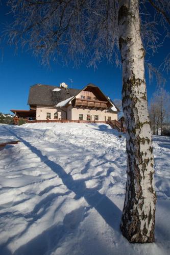 a tree in the snow next to a house at Penzion pod Šerákem in Ostružná