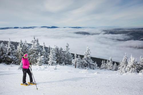 a person on skis standing on top of a mountain at Penzion pod Šerákem in Ostružná