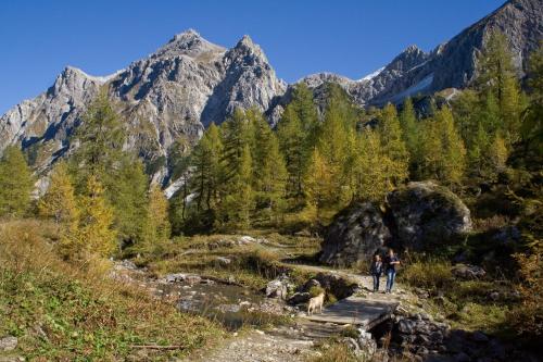 two people and two dogs walking down a mountain trail at Gästehaus Kristall in Kleinarl