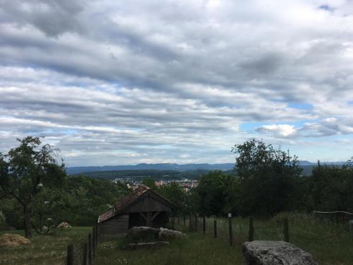 Zgradba, v kateri se nahaja apartma