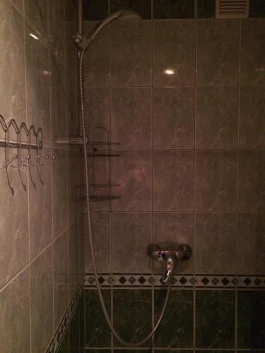 a shower with a hose in a tiled bathroom at Lana House in Pärnu