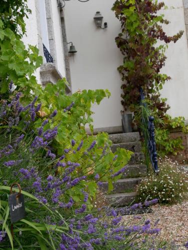 a garden with purple flowers and stairs in front of a building at Maison Castel Braz in Pont-Aven
