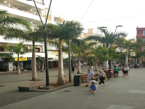 LOS CRISTIANOS apt brisol