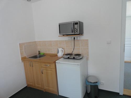 a small kitchen with a sink and a microwave at Penzion Ve Vile in Tři Studně