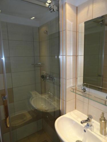 a bathroom with a sink and a glass shower at Penzion Ve Vile in Tři Studně