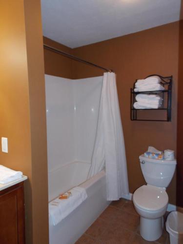 a bathroom with a toilet and a tub and a sink at William Watson Hotel in Pittsfield